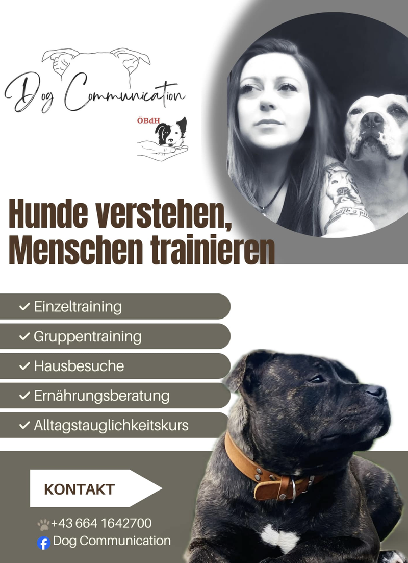 Hundetraining