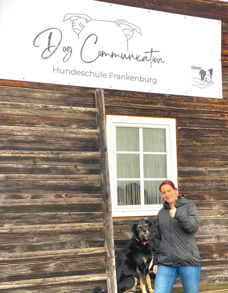 Hundetraining
